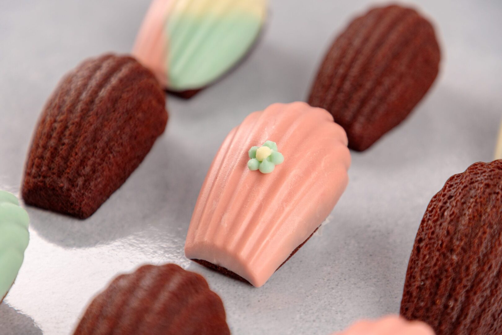 烘焙故事|玛德莲的沉睡故事